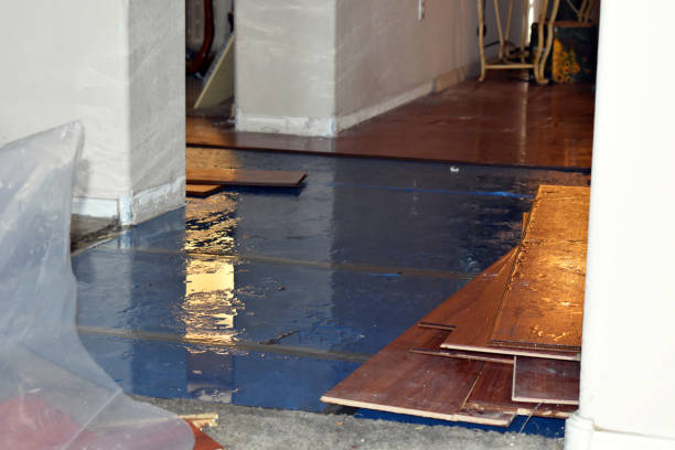 Professional Flood Cleanup technician working in Chana, IL